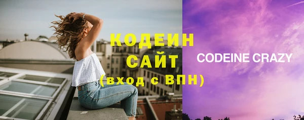 крисы Богородск