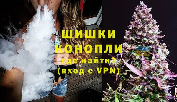 крисы Богородск