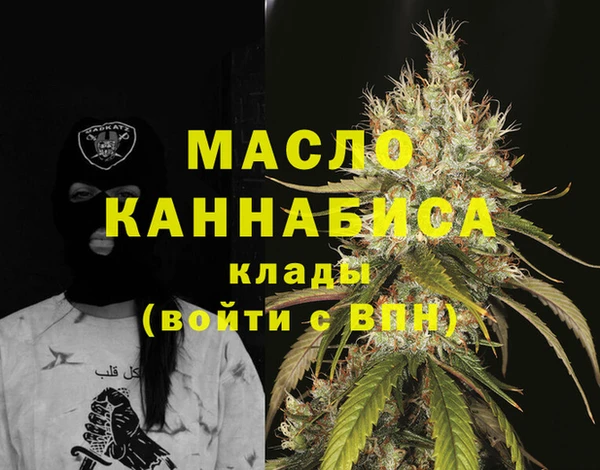 крисы Богородск