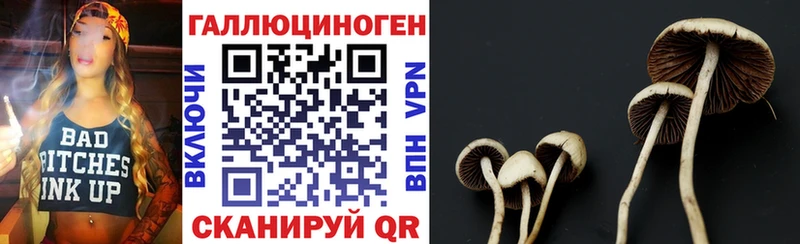 Псилоцибиновые грибы Cubensis  кракен ССЫЛКА  Нерехта 