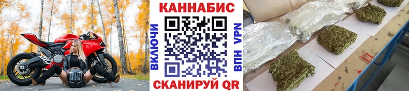 Каннабис планчик Нерехта